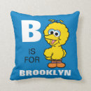 Search for big bird cushions Children