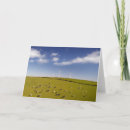 Search for wind power cards Renewable energy