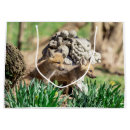 Search for fox gift bags Wildlife