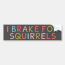 Search for squirrel bumper stickers Lover