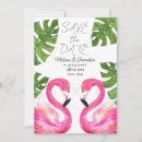Search for pink flamingo save the dates Hawaiian