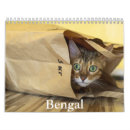 Search for bengal cat calendars Kittens