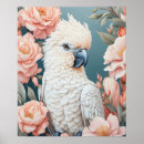 Search for cockatoo art posters Flowers