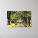 Search for lead canvas prints Nature