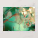Search for translucent postcards Green