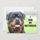 Search for rotty postcards Rottie