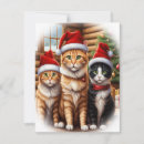 Search for humor christmas cards Cats