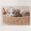 Search for queen elizabeth puzzles Pembroke welsh corgi