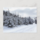 Search for cold winter postcards Horizontal