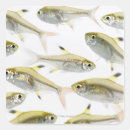 Search for yellow fish stickers Animals