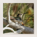 Search for hummingbird puzzles Baby