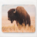 Search for grass mousepads Calf