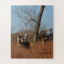 Search for wildlife puzzles Blue
