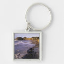 Search for seal square key rings Nature