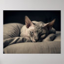 Search for sphynx cat art Kitty