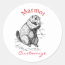 Search for prairie dogs stickers Groundhog