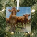 Search for grass christmas tree decorations Livestock