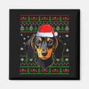 Search for dachshund magnets Kids