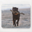 Search for vitality mousepads Playful