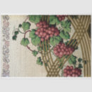 Search for grape vine Grapes