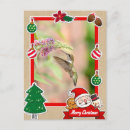 Search for hummingbird christmas cards Animal