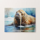 Search for walrus puzzles Nature