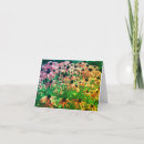 Search for colour note cards Nature