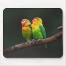 Search for two birds mousepads Computer