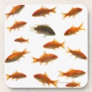 Search for concepts home living Animal