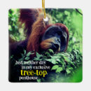 Search for orangutan christmas tree decorations Ape