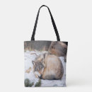 Search for wolves bags Pack of wolves