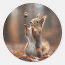 Search for cute acorn stickers Squirrel