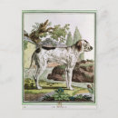 Search for pointer postcards Animal