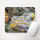 Search for reef mousepads Aquatic
