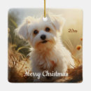 Search for maltese christmas tree decorations Pet