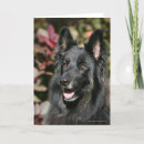 Search for deutscher cards Panting