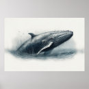 Search for jumping whale posters Nature