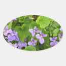 Search for herb stickers Flower