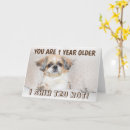 Search for shih tzu birthday cards Dog