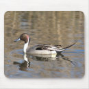 Search for anas mousepads Duck
