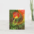 Search for fanned cards Floral