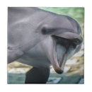 Search for tiled image Nature