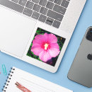 Search for remove photography Modern