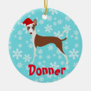 Search for hounding christmas tree decorations Ibizan hound