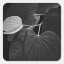 Search for leaf veins stickers Botanical