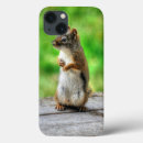 Search for squirrel photo iphone cases Wildlife