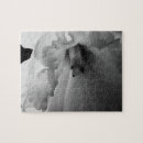 Search for daffodil photography Floral