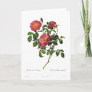 Search for rosa cards Red