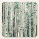 Search for aspen coasters Tree