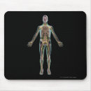 Search for transparent mousepads Vertical